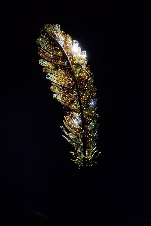 金黄羽饰胸针展览