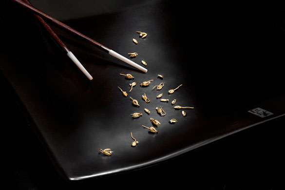 获奖作品：稻壳，别针400枚 Tomoko KODERA(日本）